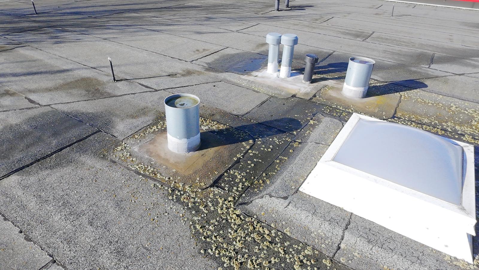 Flüssigkunststoff-Abdichtung in Wesseling