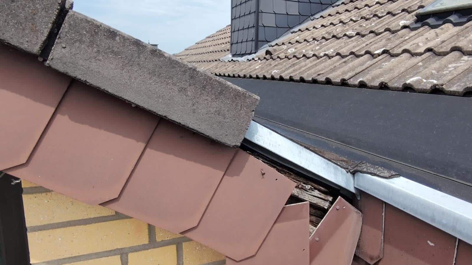 Sturmschaden in Köln-Klettenberg