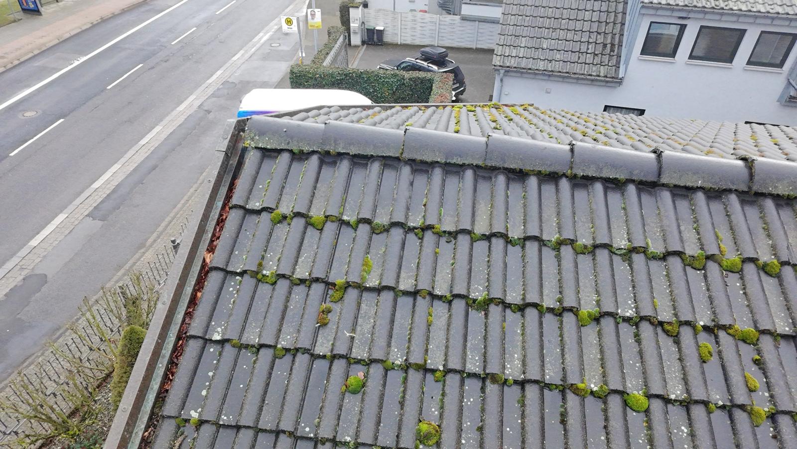 Dachwartung bei starkem Moosbewuchs in Siegburg