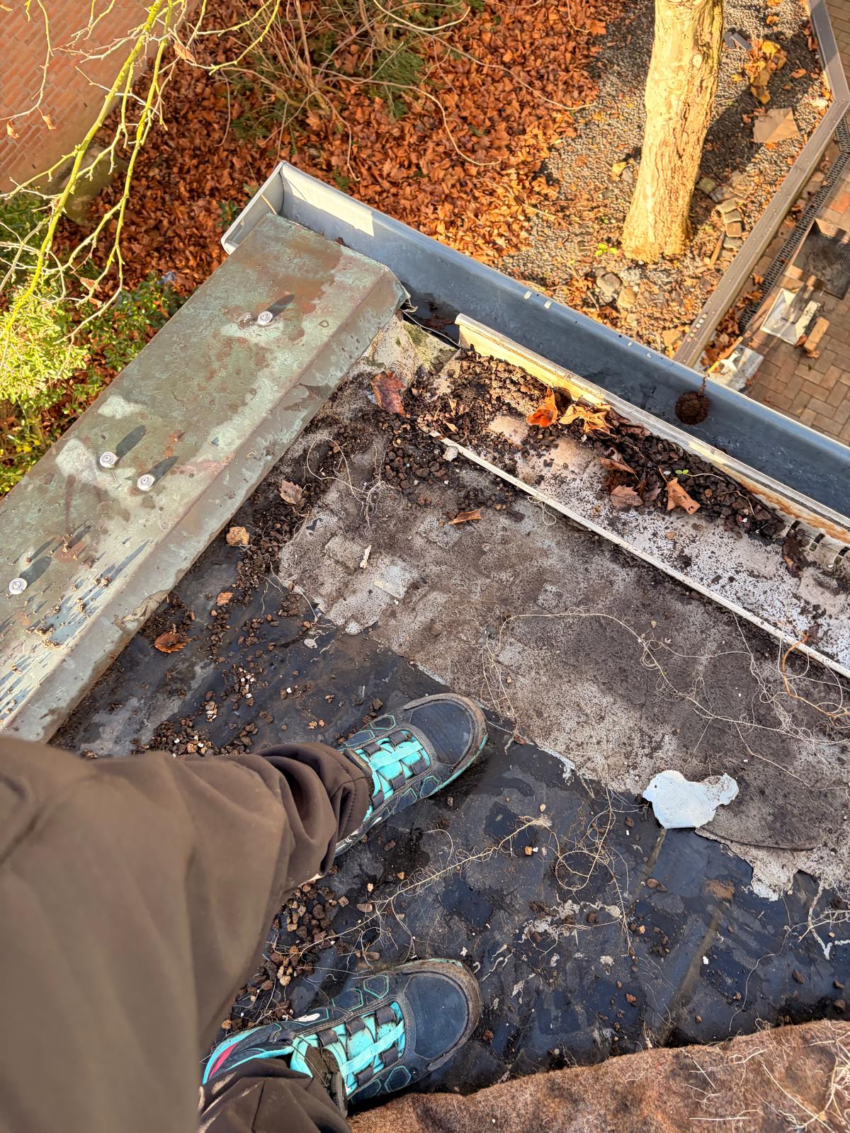 Leckortung am Flachdach in Sankt Augustin