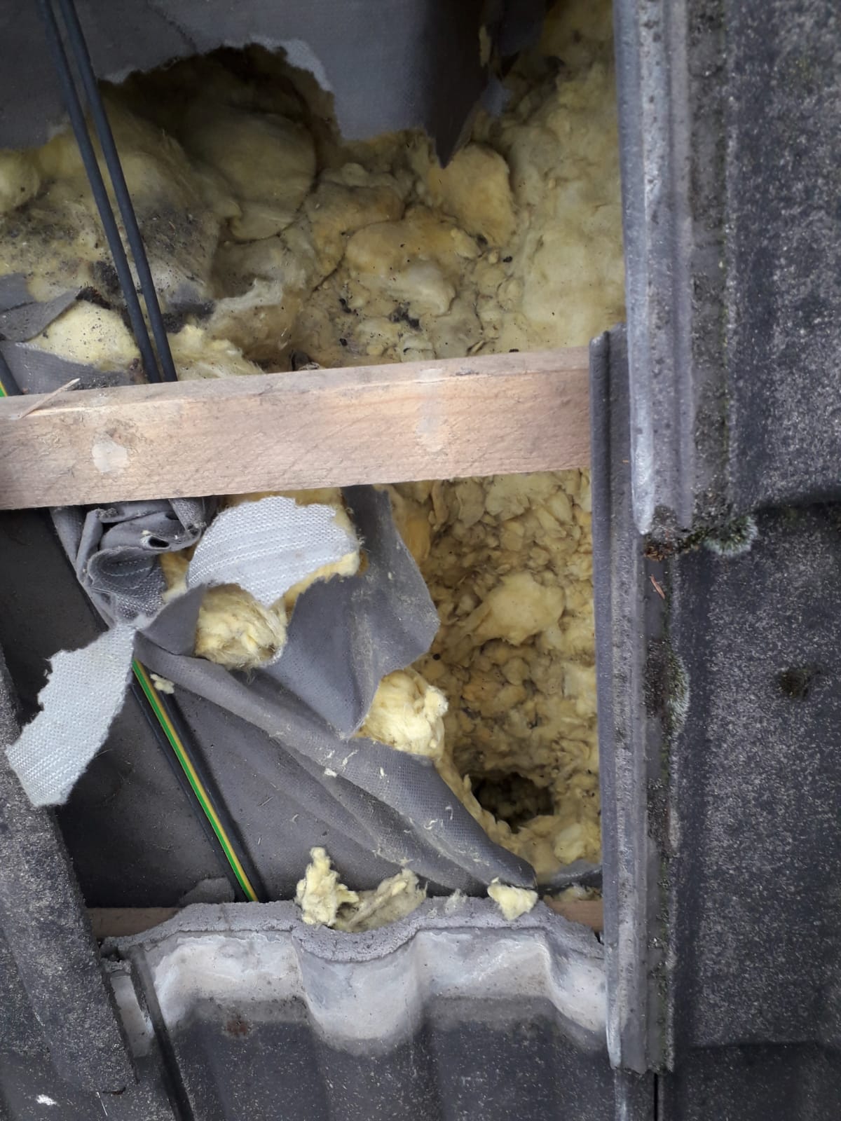 Marderschaden im Dachaufbau in Bergisch Gladbach