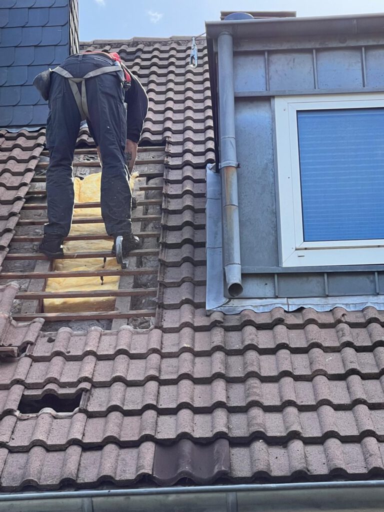Marderschaden am Dach in Bornheim