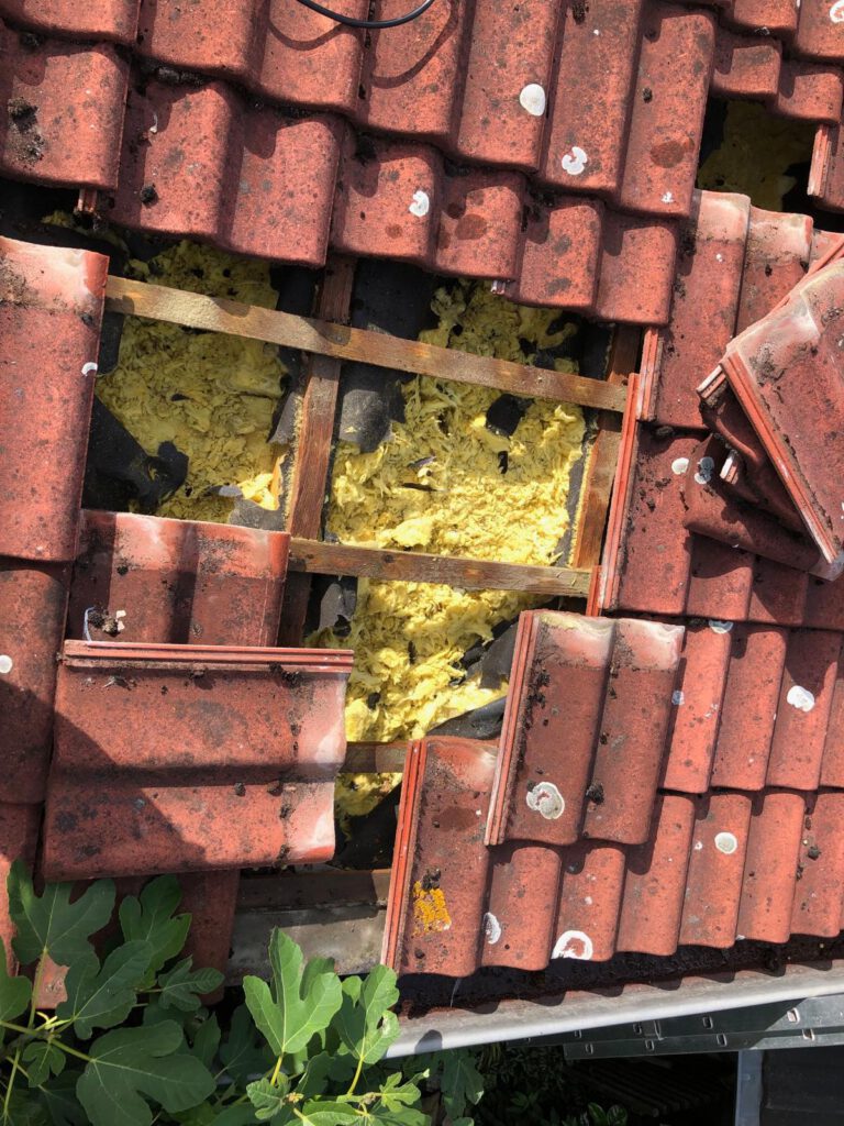 Marderschaden am Dach in Erftstadt
