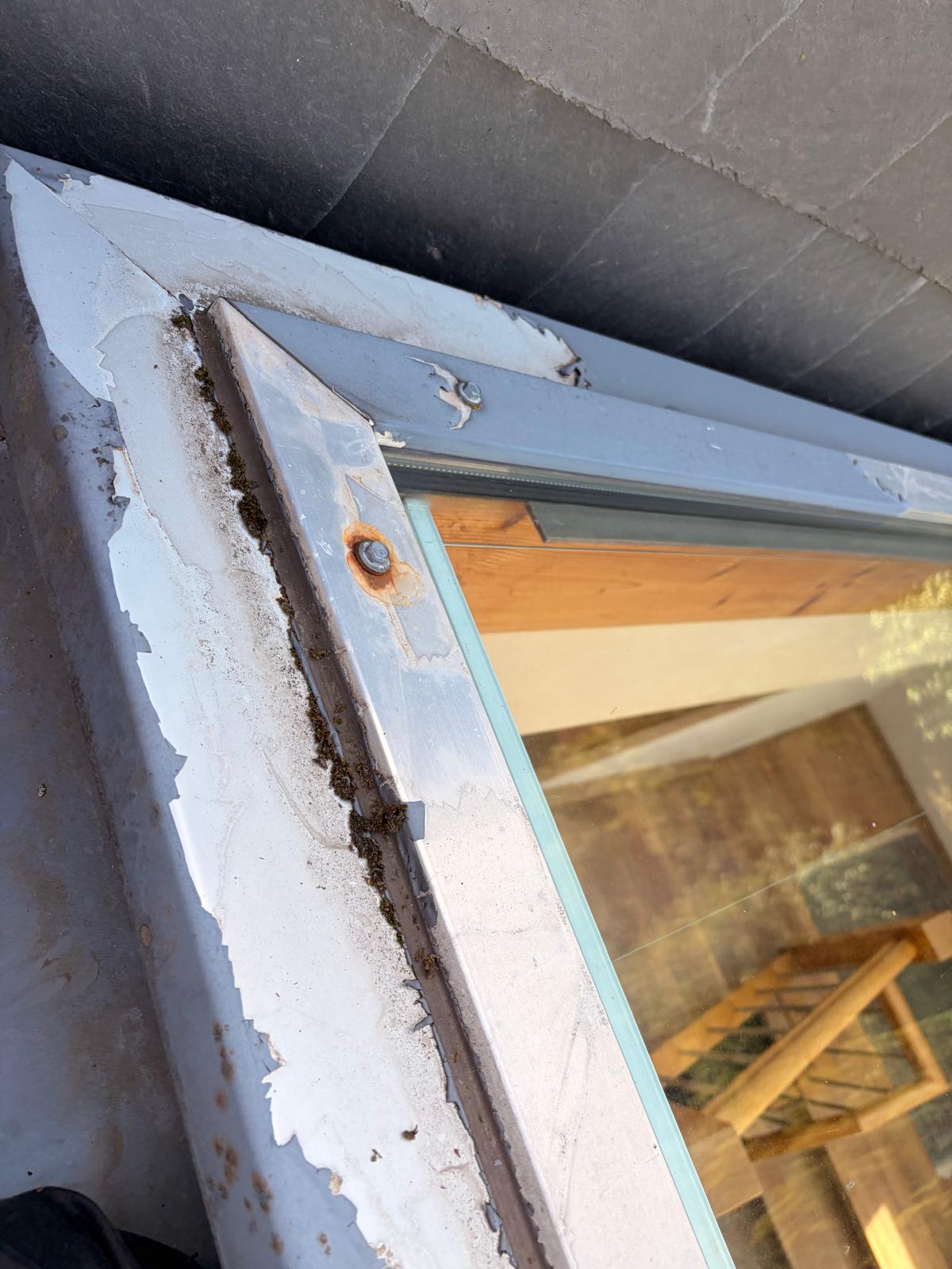 Leckortung am Dachfenster in Köln-Rodenkirchen