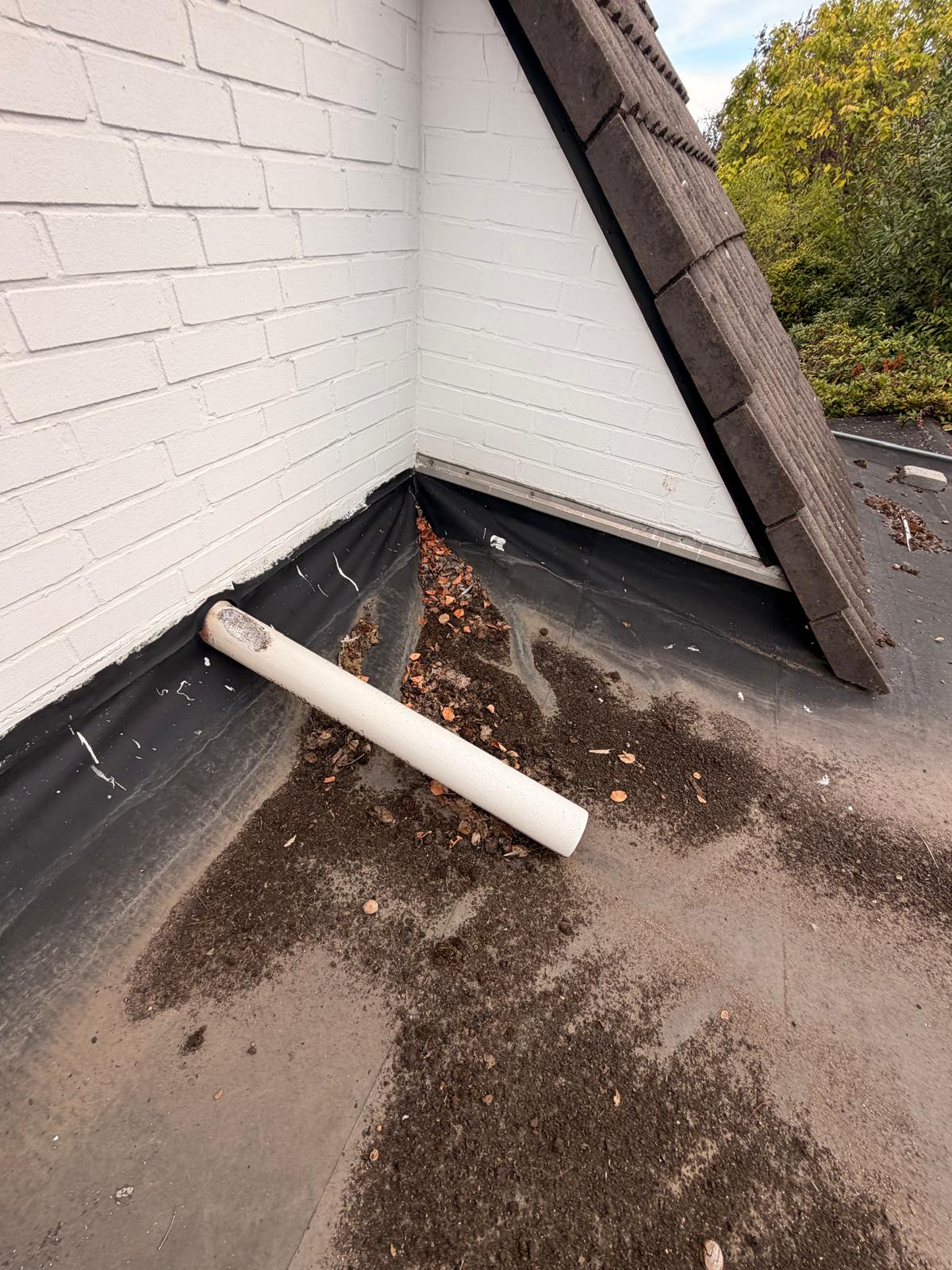 Leckortung und Reparatur am Flachdach in Zülpich